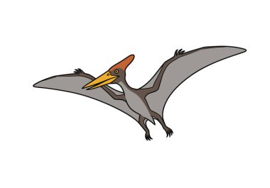 Pteranodon klipsi. Büyük kanatları, uzun gagası ve kendine özgü bir arması olan uçan tarih öncesi bir sürüngen. Çizim tasarımı.