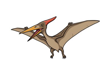 Pterodactyl dinozor klipsi. Geniş kanatları ve açık gagası olan çizgi film tarzı bir pterodactyl. Çizim tasarımı.