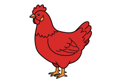 Kırmızı tavuk klipsi sanatı. Bu resim, bir tarak, gaga ve tüyler gibi detaylı özelliklere sahip kırmızı bir tavuğu gösteriyor. Çizim tasarımı.