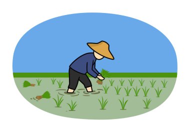 Çiftçi Rice Clipart. Bir çiftçi çeltik tarlasına su ve yeşillik ekiyor. Çizim tasarımı.