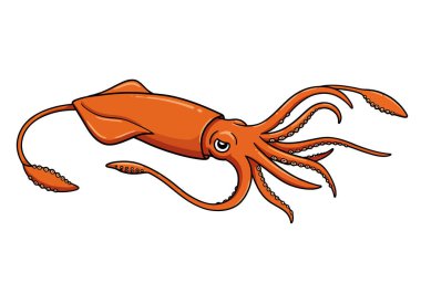 Pusit klipsi. Bu resim, detaylı dokunaçları ve emici bardakları olan turuncu bir mürekkep balığını gösteriyor. Çizim tasarımı.