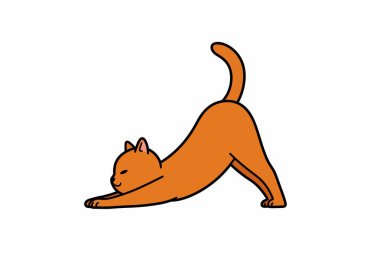 Kedi yogası klibi. Bu görüntü, kuyruğu yukarıda öne doğru uzanan turuncu bir kediyi gösteriyor. Çizim tasarımı.