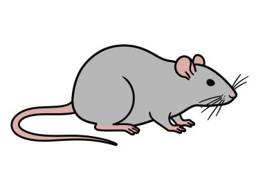 Rat clipart kolay. Bu resim, gri gövdeli, pembe kuyruklu, kulaklı ve ayaklı basit, çizgi film tarzı bir fareyi gösteriyor. Resim sanat tasarımı.