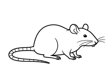 Rat outline clipart. Uzun bir kuyruk, kulak, bıyık ve diş gibi belirgin özellikleri olan bir farenin basit siyah beyaz çizimi. Resim sanat tasarımı.