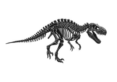 Dinozor iskeleti silueti. Bu resim, tarih öncesi bir sürüngen olarak kemiklerini ve yapısını vurgulayan bir dinozor iskeletinin siyah siluetini gösteriyor. Clipart illüstrasyon tasarımı.
