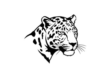 Leopar baş silueti. Bu resim belirgin benekleri ve özellikleri olan bir leoparın kafasının detaylı siyah beyaz çizimini gösteriyor. Clipart illüstrasyon tasarımı.