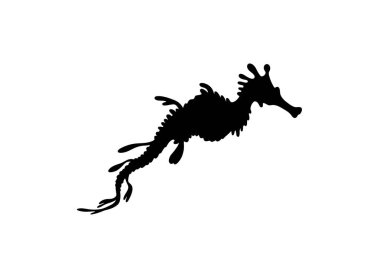 Deniz ejderhası silueti. Bu resimde, ayrıntılı yüzgeçleri ve dikenleri olan bir deniz ejderhasının mistik bir deniz büyüsü sergileniyor. illüstrasyon siyah clipart tasarımı.