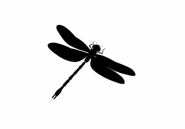 Ejderha sineği silueti. Bu resim, karmaşık kanatları ve parçalı bir vücudu olan bir yusufçuğun siyah siluetini gösteriyor. illüstrasyon siyah clipart tasarımı.
