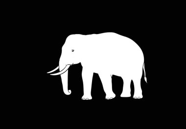 Beyaz fil silueti. Bu görüntü siyah arka planda beyaz bir fil silueti gösteriyor, büyük kulaklarını, dişlerini ve hortumunu vurguluyor. Clipart illüstrasyon tasarımı.