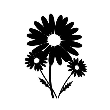 Papatya çiçeği silueti. Bu resim, sapları ve yaprakları zarif bir şekilde düzenlenmiş çoklu papatya çiçeklerinden oluşan siyah bir siluet içerir. illüstrasyon siyah clipart tasarımı.