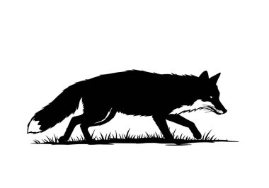 Tilki avı silueti. Bu görüntü, uzun otların arasında yürüyen bir tilkinin siyah siluetini gösteriyor, sanki bir avdaymış gibi tetikte ve ihtiyatlı görünüyor. Clipart illüstrasyon tasarımı.