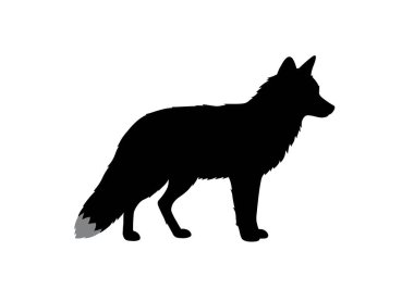 Tilki silueti. Bu görüntü, kıvrak kuyruklu, keskin kulaklı, çevik ve vahşi doğasını vurgulayan siyah bir tilki siluetini gösteriyor. Clipart illüstrasyon tasarımı.