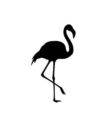 Flamingo silueti. Bu resim bir bacağının üzerinde duran siyah bir flamingo siluetini gösteriyor, zarif ve zarif duruşunu sergiliyor. Clipart illüstrasyon tasarımı.