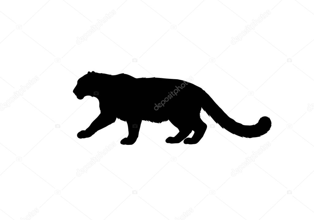 Snow leopard silhouette. This image shows a  clipart illustration design of a snow leopard silhouette, also known as an ounce or panthera uncia. Clipart illustration design.