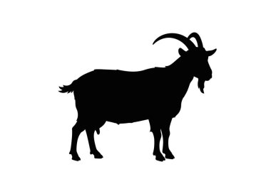 Keçi silueti. Bu görüntü, belirgin boynuzları ve sakalı olan bir keçinin siyah siluetini gösteriyor. Aynı zamanda çiftlik hayvanı çizgisi olarak da bilinir. Clipart illüstrasyon tasarımı.