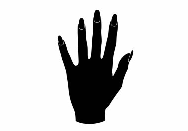 El tırnağı silueti. Bu resim, genellikle manikür, pedikür ve güzellik çizimleriyle ilişkili bir el tırnağının siyah siluetini gösteriyor. Clipart illüstrasyon tasarımı.