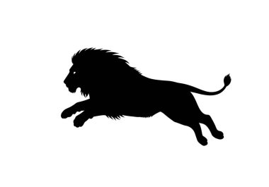 Aslan silueti. Bu resim, siyah bir siluet olarak tasvir edilen ve ayrıntılı yelesi ve kuyruğu olan bir aslanın klipart çizimini gösteriyor. Clipart illüstrasyon tasarımı.
