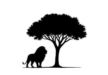 Aslan Kral ağaç silueti. Bu görüntü, hayvanın görkemli ve güçlü doğasını vurgulayan büyük bir ağacın yanında duran bir aslanı gösteriyor. Clipart illüstrasyon tasarımı.