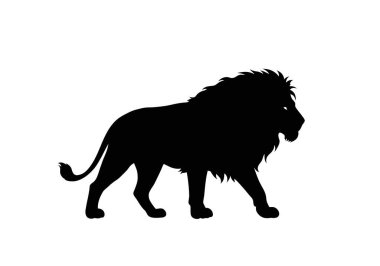 Aslan yürüyen siluet. Bu resim, yele ve kuyruğuyla yürüyen bir aslanın yaban hayattaki güç ve görkemi simgelediğini gösteriyor. Clipart illüstrasyon tasarımı.