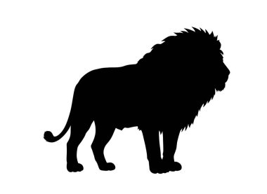 Aslan silueti. Bu görüntü, hayvanın görkemli ve güçlü doğasını temsil eden belirgin yeleli bir aslanın siyah siluetini gösteriyor. Clipart illüstrasyon tasarımı.