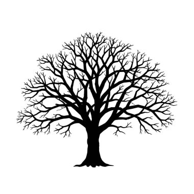 Meşe ağacı silueti, yaprak yok. Bu resim, yaprakları olmayan bir meşe ağacının titiz ve doğal zarafetini vurgulayan ayrıntılı bir siluetini gösteriyor. Clipart illüstrasyon tasarımı.