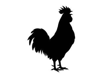 Karga horozu silueti. Bu resim, tarak, kuyruk ve gaga gibi çiftlik yaşamını sembolize eden ayrıntılı özellikleri gösteren siluet içinde öten bir horozu tasvir ediyor. Clipart illüstrasyon tasarımı.