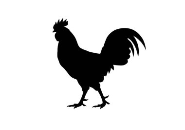 Av kuşu silueti. Belirgin arması, keskin pençeleri ve zarif duruşu gibi ayrıntılı özellikleri olan bir av kuşunun siyah silueti. Clipart siyah illüstrasyon tasarımı.