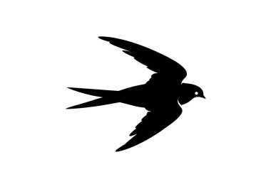 Hızlı siluet. Uçuşun ortasında kanatları genişçe açılmış hızlı bir kuş. Parlak ve aerodinamik formunu sergiliyor. Clipart siyah illüstrasyon tasarımı.