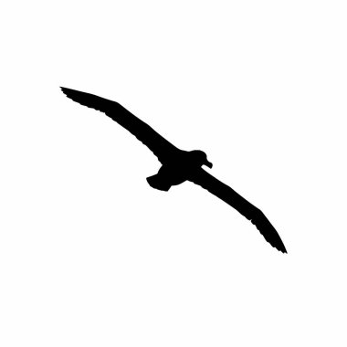 Albatros silueti. Bu görüntü, kanatları zarifçe açılmış uçan bir albatrosun siyah siluetini gösteriyor. Clipart siyah illüstrasyon tasarımı.