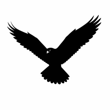 Yırtıcı kuş silueti. Görüntü, görkemli bir uçuşta kanatları ardına kadar açılmış yırtıcı bir kuşun siyah siluetini gösteriyor. Clipart siyah illüstrasyon tasarımı.