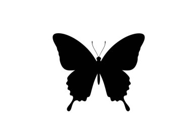 Kelebek silueti. Bu resim, aynı zamanda böcek motifi veya sanatsal amblem olarak da adlandırılan simetrik kanatlı bir kelebeğin siyah ana hatlarını gösteriyor. Clipart siyah illüstrasyon tasarımı.