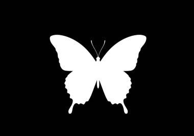 Beyaz kelebek silueti. Bu resim, aynı zamanda dekoratif motif veya zarif bir ikon olarak da adlandırılan, simetrik kanatlara sahip narin bir beyaz kelebeği tasvir eder. Clipart siyah illüstrasyon tasarımı.