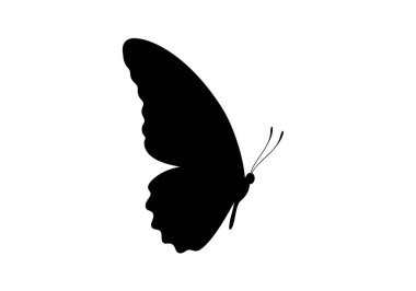 Yarı kelebek silueti. Bu resim, yarım bir kelebeğin siyah bir siluetini ayrıntılı kanatları ve antenleri ile gösteriyor, ayrıca kelebek çizgisi olarak da bilinir. Clipart siyah illüstrasyon tasarımı.