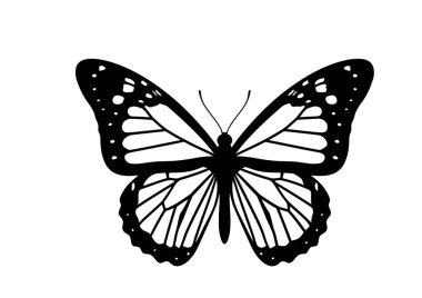 Kral kelebeği silueti. Bu resim, bir kral kelebeğinin detaylı siyah ve beyaz siluetini gösteriyor, ayrıca kelebek sanatı olarak da bilinir. Clipart siyah illüstrasyon tasarımı.