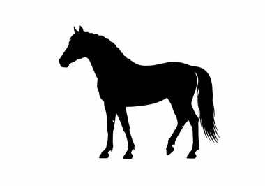 Bir atın silueti. Bu görüntü, bir atın zarafetini, gücünü ve görkemli güzelliğini sembolize eden siyah bir at siluetini gösteriyor. Clipart siyah illüstrasyon tasarımı.
