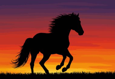 Gün batımı at silueti. Bu resim, altta çimenler olan renkli bir günbatımı gökyüzüne karşı duran bir atın siyah siluetini gösteriyor. Clipart siyah illüstrasyon tasarımı.
