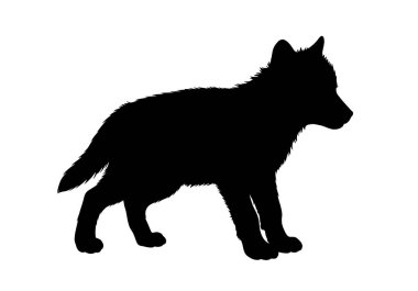 Kurt yavrusu silueti. Yavru köpek, vahşi yaşamı, orman yaratıklarını ve vahşi doğayı sembolize eden neşeli ve masum bir duruş sergiliyor. Clipart siyah illüstrasyon tasarımı.