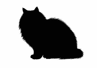 Fluffy cat silhouette. The image displays a black silhouette of a furry cat sitting gracefully, highlighting its fluffy tail and ears. Clipart black illustration design.