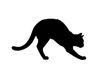 Kemerli kedi silueti. Görüntü siyah bir kedi silueti gösteriyor. Sırtı kavisli ve dik duruşu var. Clipart siyah illüstrasyon tasarımı.