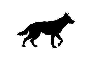 Köpek silueti. Bu resim, genellikle köpek ya da kurt profili olarak adlandırılan bir köpeğin siyah ana hatlarını tasvir eder. Clipart siyah illüstrasyon tasarımı.
