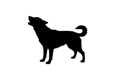 Köpek havlaması silueti. Bu resim, havlayan bir köpek tasviri, aynı zamanda uluyan köpek ya da sesli köpek olarak da bilinir. Clipart siyah illüstrasyon tasarımı.