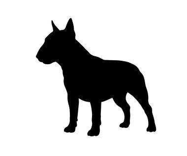 İngiliz mastif silueti. Bu resim, aynı zamanda kaslı bir köpek ya da sadık bir yoldaş olarak da adlandırılan bir İngiliz mastırının profilini tasvir eder. Clipart siyah illüstrasyon tasarımı.