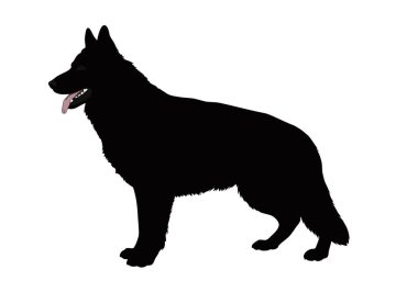 Alman çoban köpeği silueti. Bu görüntü, ayakta duran bir Alman çoban köpeğinin siyah siluetini gösteriyor. Aynı zamanda bir Alsas köpeği ya da sadık bir köpek olarak da bilinir. Clipart siyah illüstrasyon tasarımı.