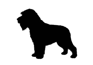 Sakallı köpek silueti. Bu resimde, tüylü köpek tasarımı olarak da bilinen sakallı bir köpek profili yer alıyor. Clipart siyah illüstrasyon tasarımı.