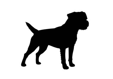 Sınır Teriyeri silueti. Bu resim bir sınır teriyeri profilini tasvir ediyor, aynı zamanda cılız bir köpek ya da küçük bir av teriyeri olarak da bilinir. Clipart siyah illüstrasyon tasarımı.