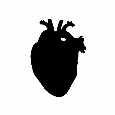 Anatomik kalp silueti. Bu resim, kalp organı olarak da adlandırılan, tıbbi anatomiyi ve sağlık hizmetini sembolize eden detaylı bir insan kalbini gösteriyor. Clipart siyah illüstrasyon tasarımı.