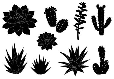 Lezzetli bir siluet. Sulu siluet, çeşitli sulu bitkilerin ana hatlarını siyah beyaz gösteren bir dizayndır. Clipart illüstrasyon tasarımı.