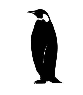 İmparator penguen silueti. Bu görüntü, aynı zamanda uçamayan deniz kuşu olarak da bilinen, parlak bir duruşla dimdik duran bir imparator penguenin siyah siluetini gösteriyor. Clipart illüstrasyon tasarımı.