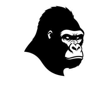 Goril kafası silueti. Bu görüntü, bir gorilin yüzünün siyah siluetini gösteriyor. Gücünü ve vahşi doğasını vurguluyor. Clipart illüstrasyon tasarımı.