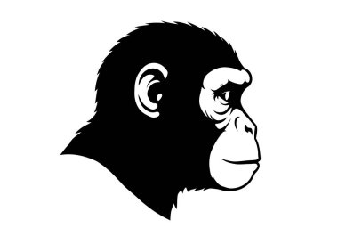 Maymun kafalı siluet. Bu görüntü, bir maymunun yüzünün ve kürk dokusunun altını çizen siyah beyaz bir yan profilini gösteriyor. Clipart illüstrasyon tasarımı.